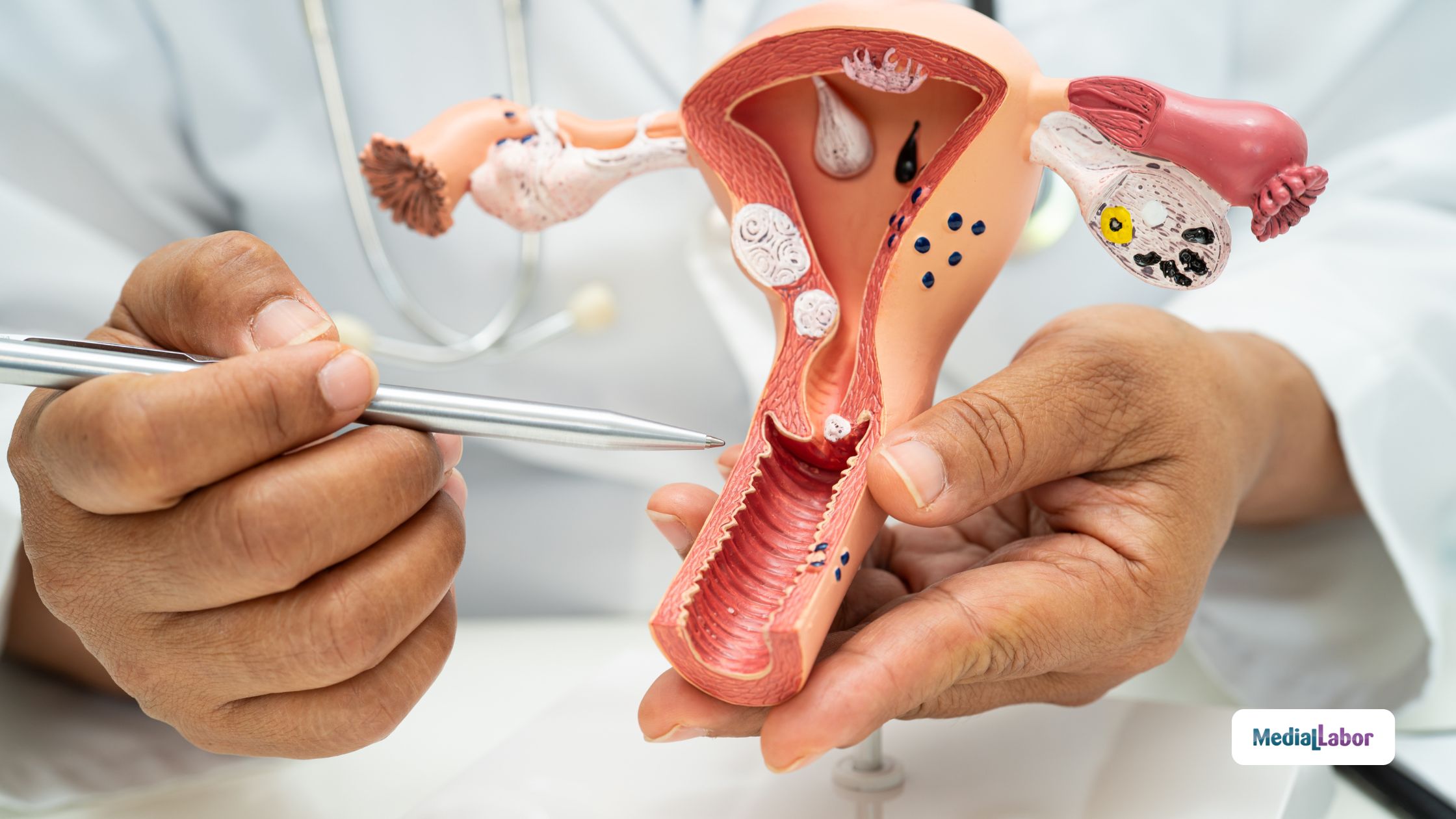 Ginecologia - Medial Labor