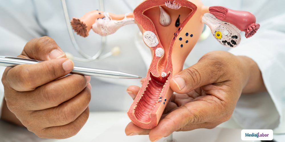 Ginecologia - Medial Labor